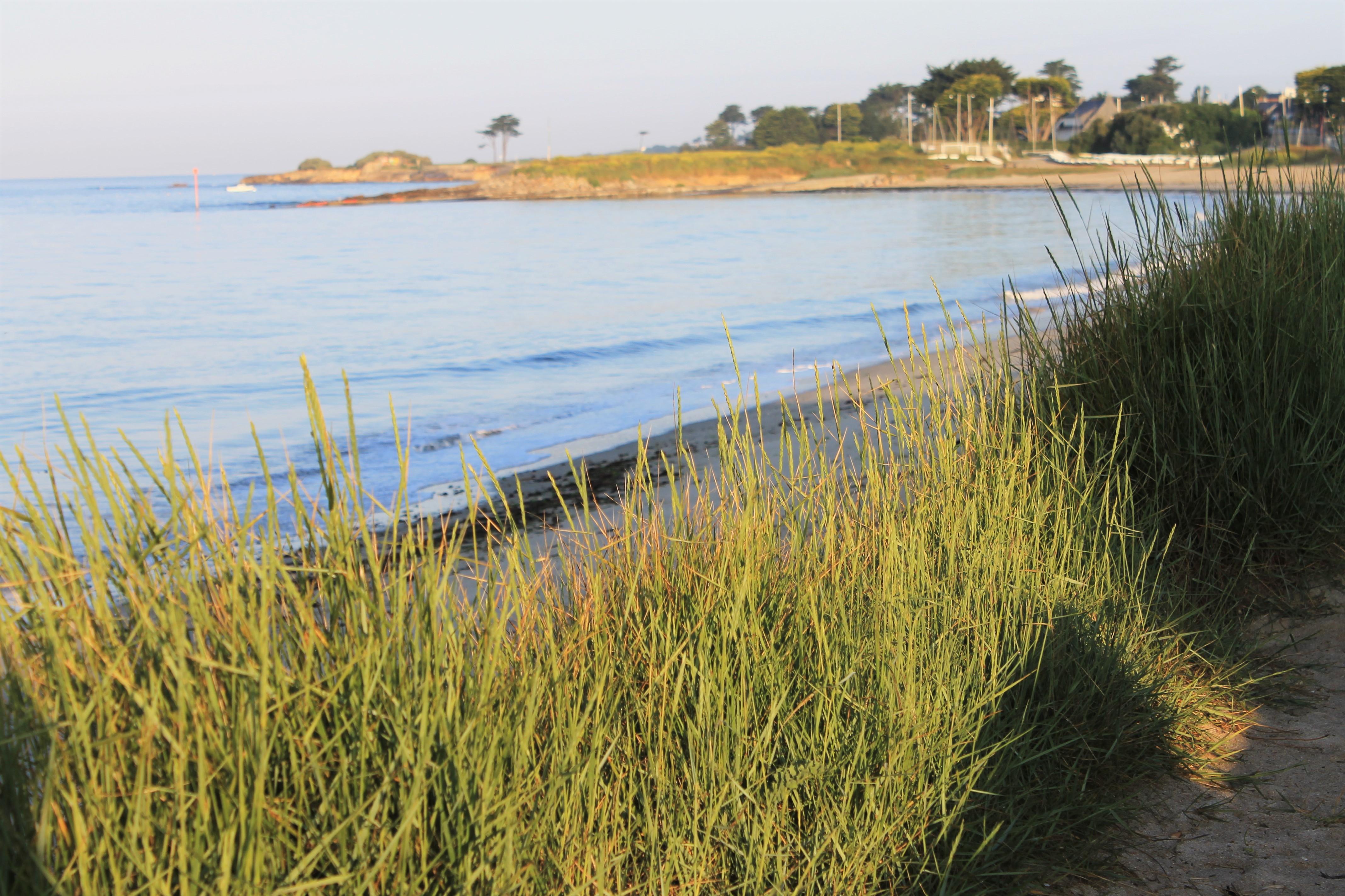Logis Hotel & Restaurant Les Mouettes - Larmor Plage, Proche De Lorient Buitenkant foto