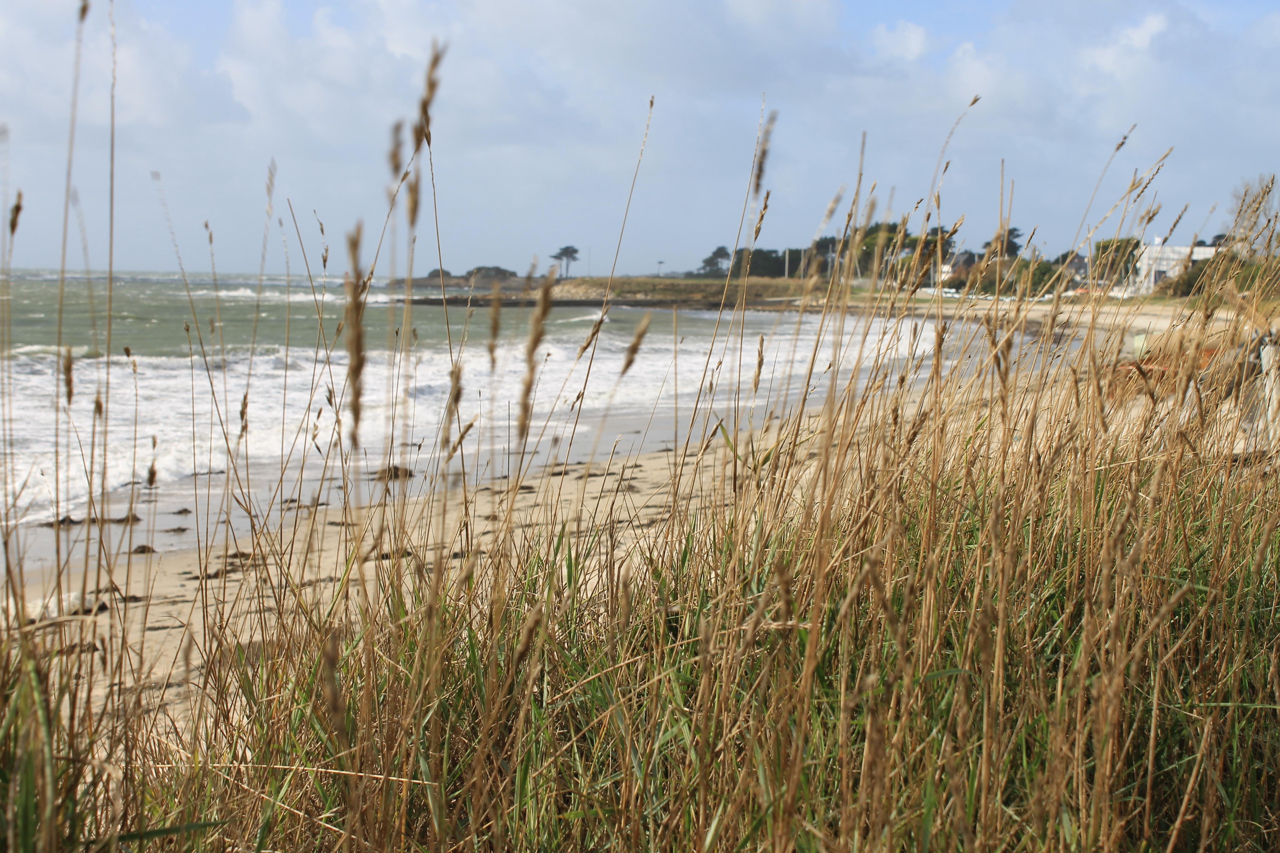 Logis Hotel & Restaurant Les Mouettes - Larmor Plage, Proche De Lorient Buitenkant foto