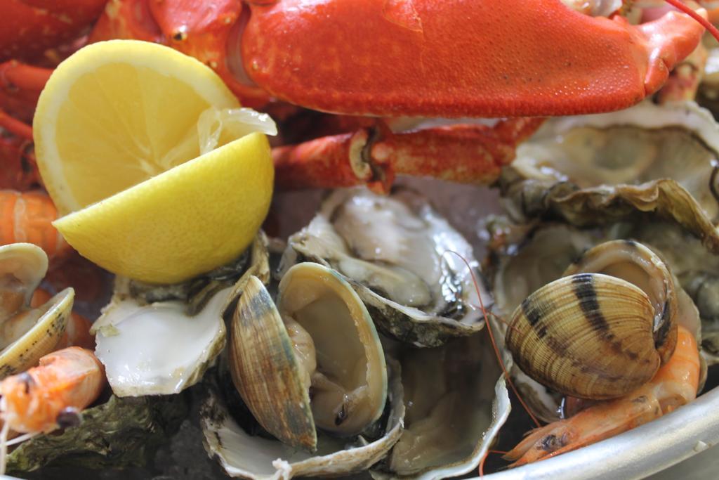 Logis Hotel & Restaurant Les Mouettes - Larmor Plage, Proche De Lorient Buitenkant foto
